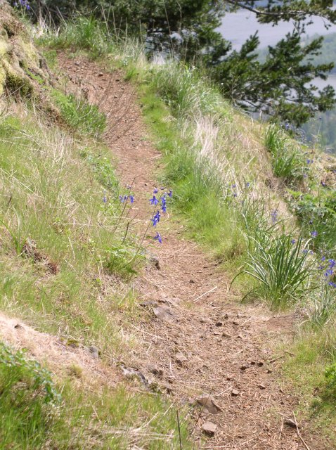 4.30.06 Hamilton Mountain 037 